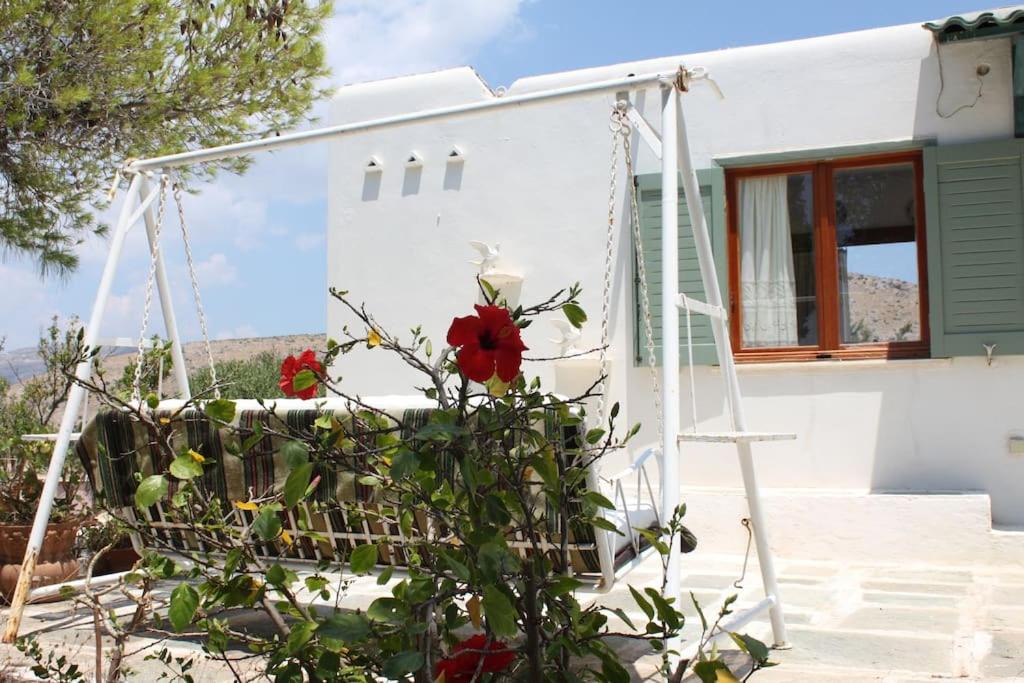 Photo of Buildings in Thymari
