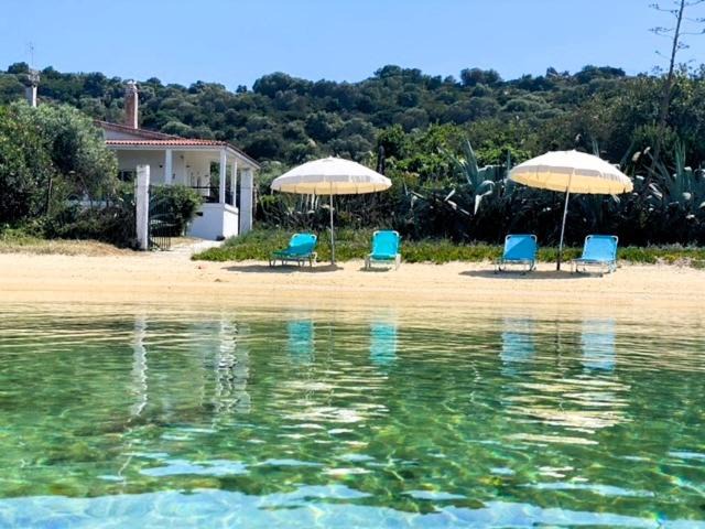Photo of Others in Aristotelis