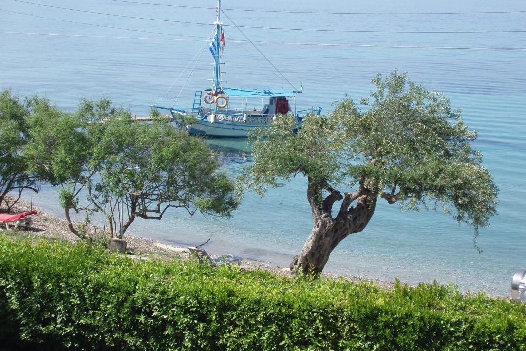 Photo of Outdoor in Notos