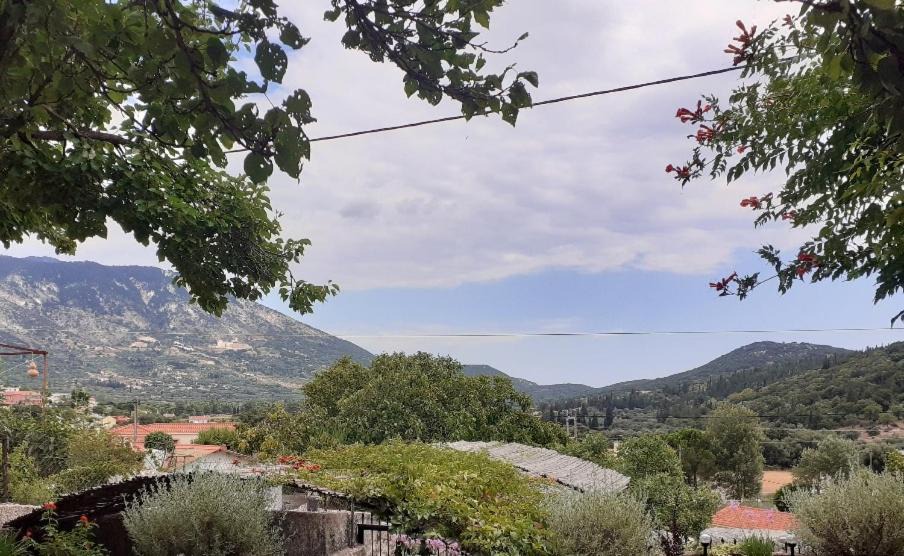 Photo of Others in Agios Eleftherios