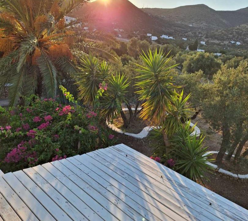 Photo of Others in Platis Gialos