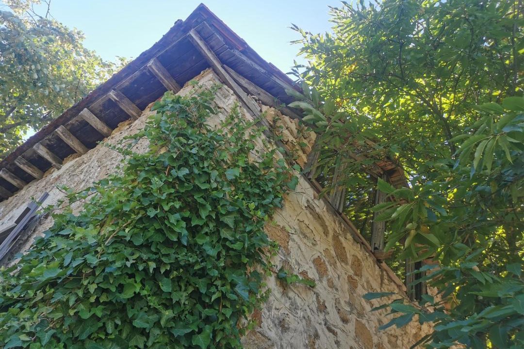 Photo of Outdoor in Arnaia
