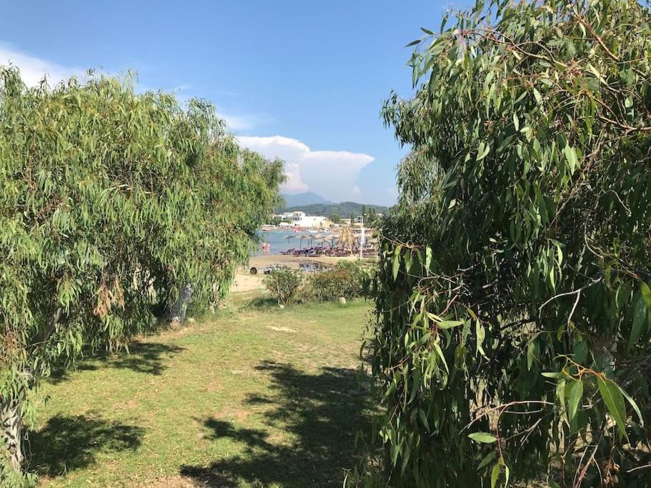 Photo of Outdoor in Sidari