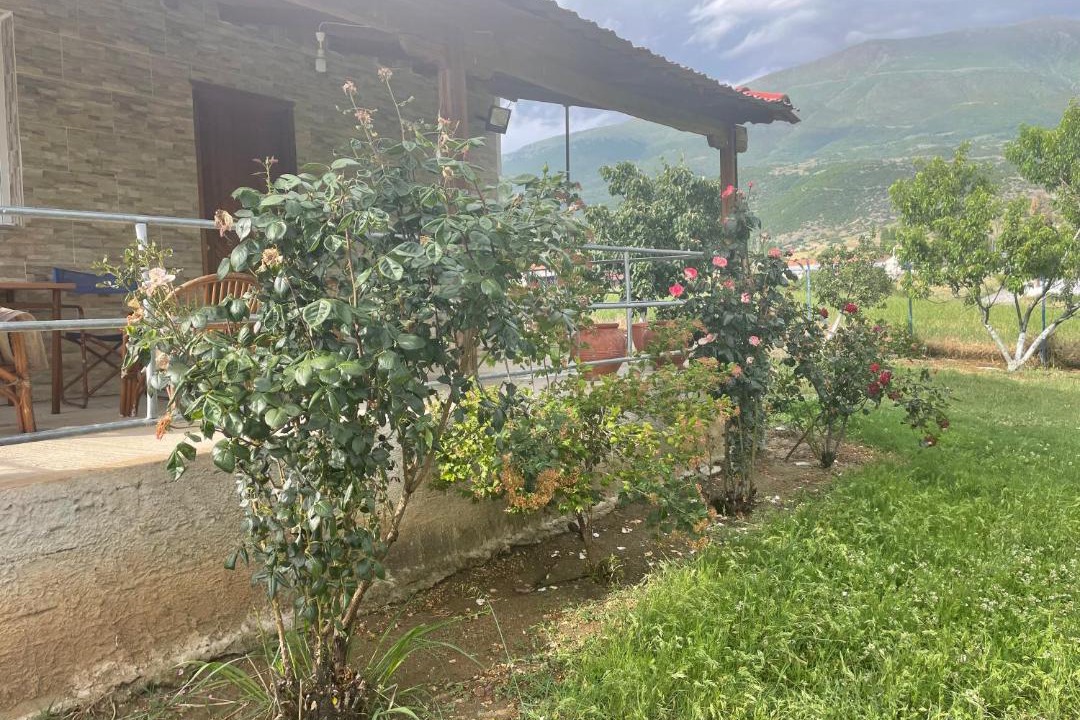 Photo of Others in Elassona