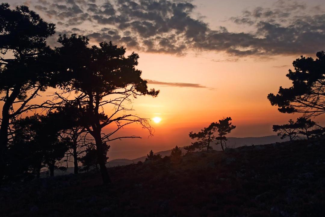 Photo of Outdoor in Avgonima