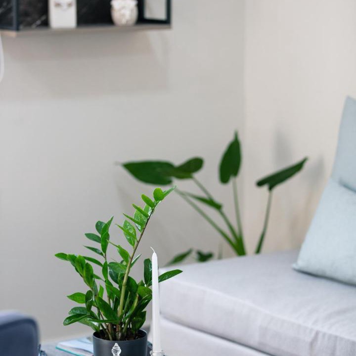 Photo of Bedroom in Halepa