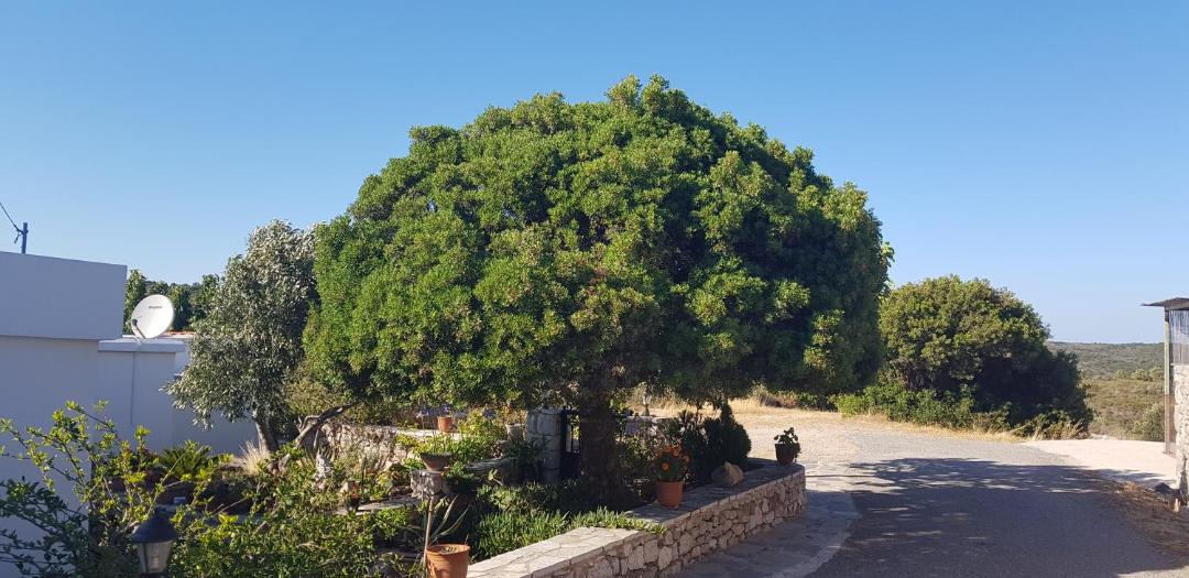 Photo of Others in Kithira