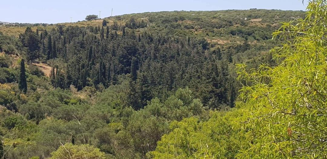 Photo of Outdoor in Kithira