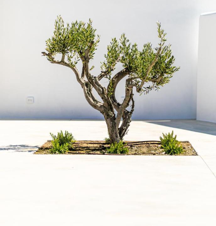 Photo of Others in Naxos