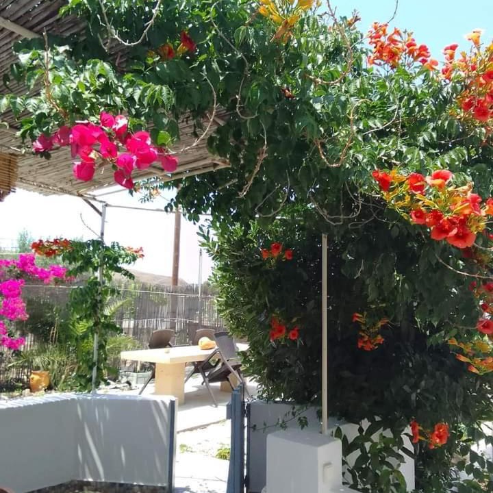 Photo of Patio Balcony in Apollonia