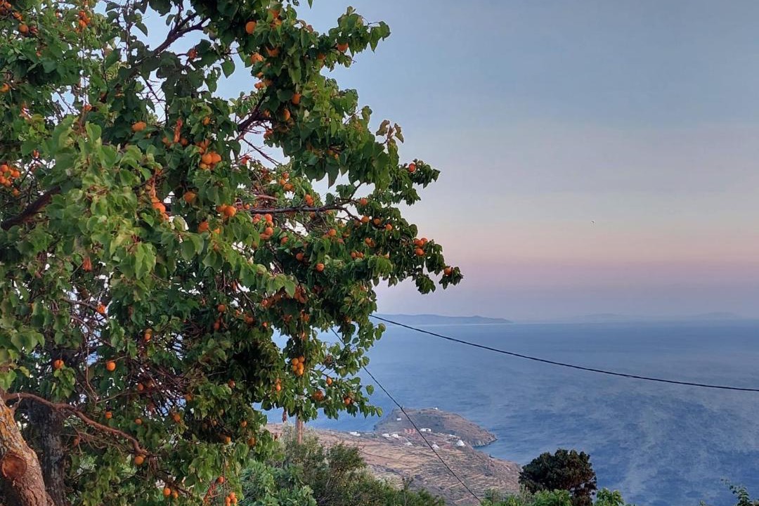 Photo of Outdoor in Kato Aprovatou