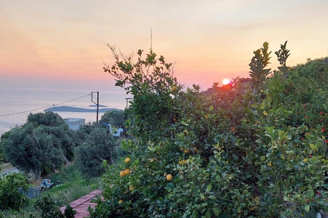Photo of Outdoor in Kato Aprovatou