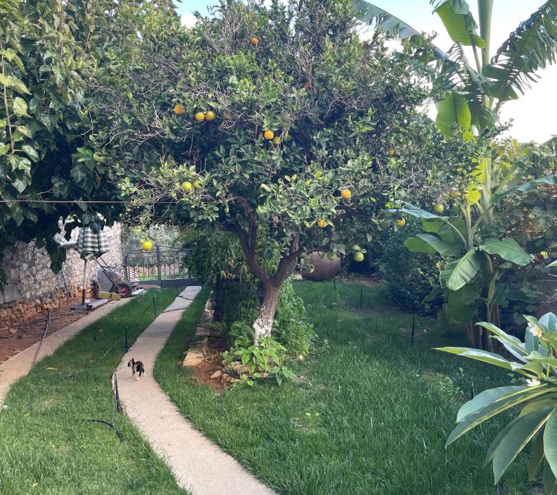 Photo of Outdoor in Episkopi