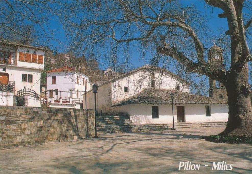 Photo of Buildings in Milies
