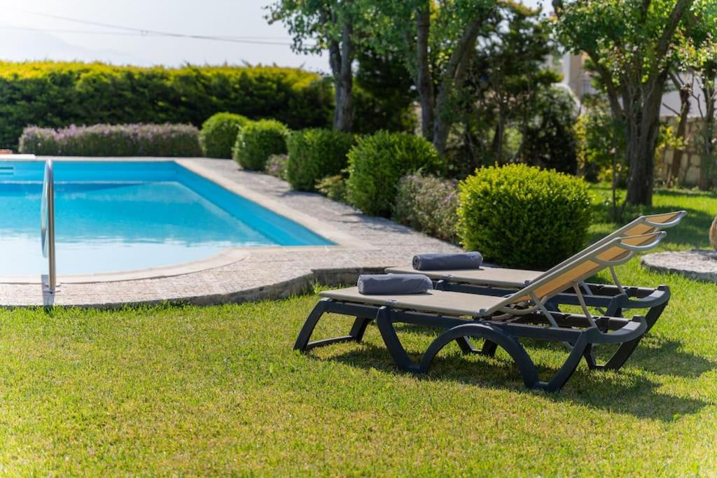 Photo of Outdoor in Spartia