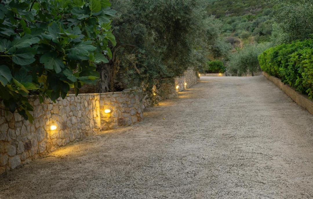 Photo of Others in Melissopetra