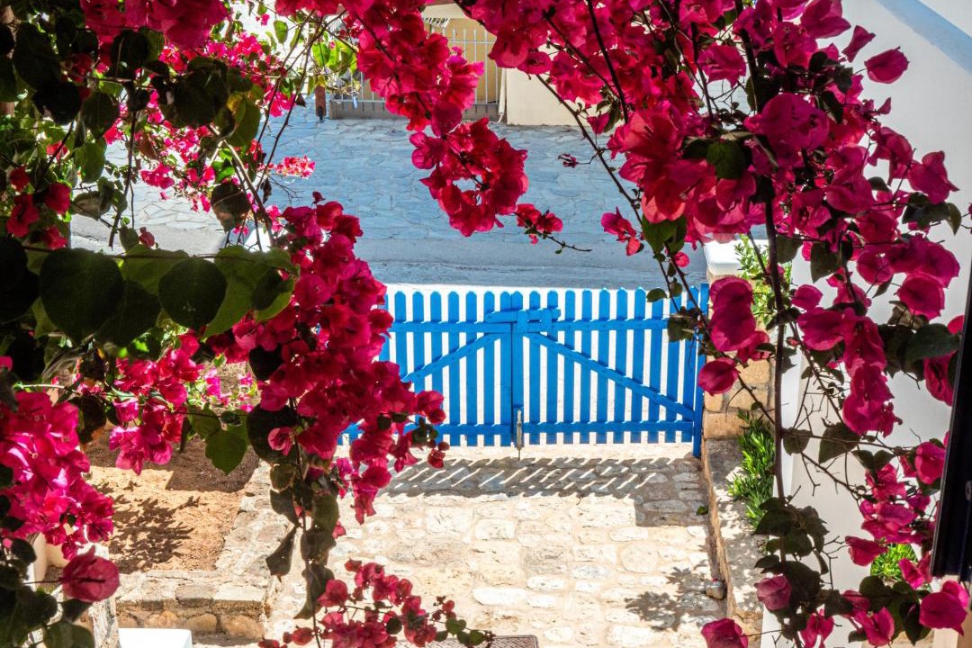 Photo of Others in Elafonisos