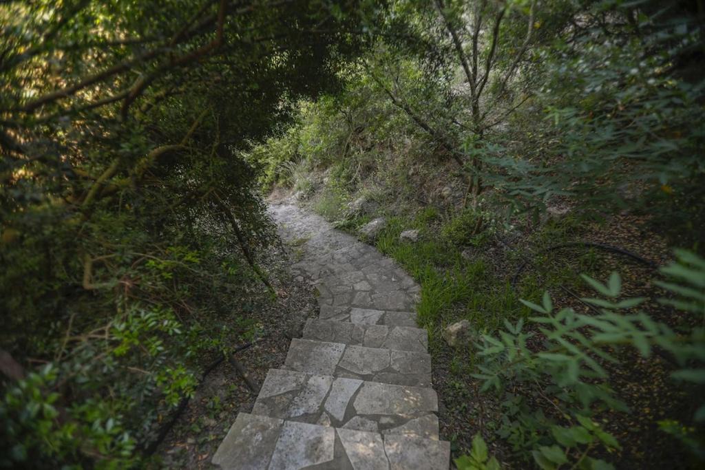 Photo of Outdoor in Svoronata