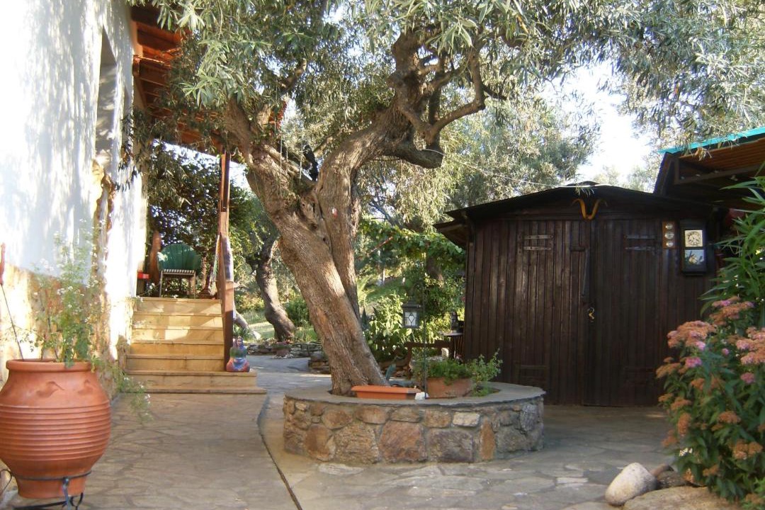 Photo of Others in Sithonia
