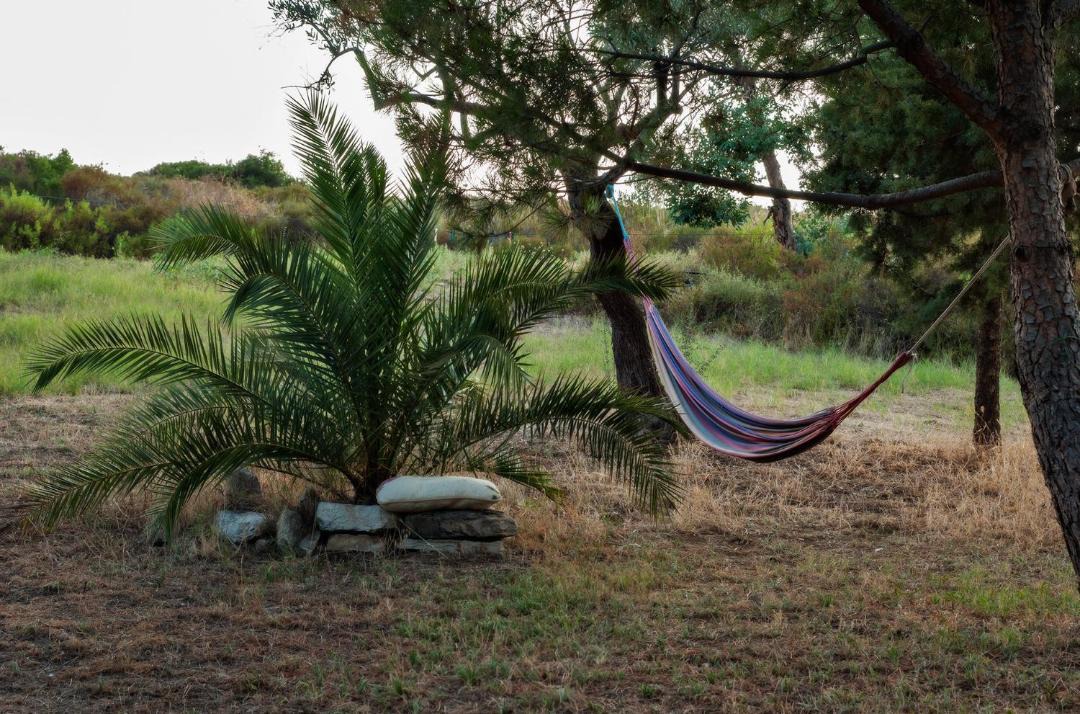 Photo of Others in Sithonia
