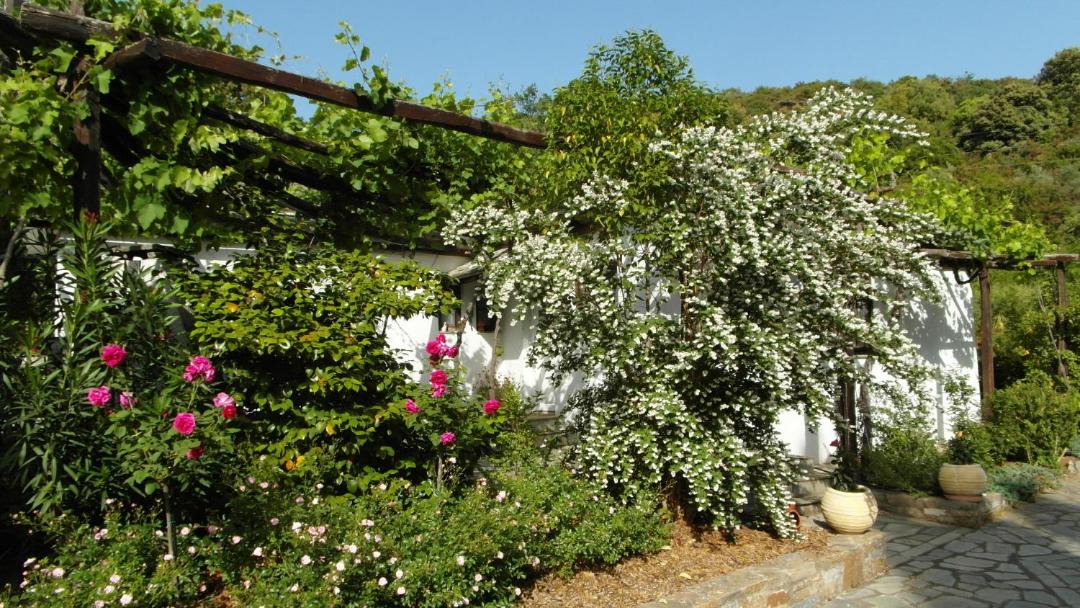 Photo of Outdoor in Afetai