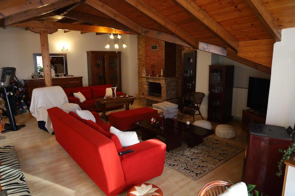 Photo of Livingroom in Florina