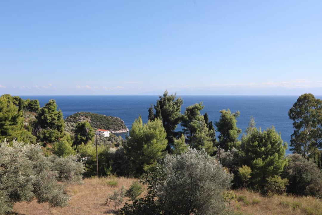 Photo of Others in Stafylos