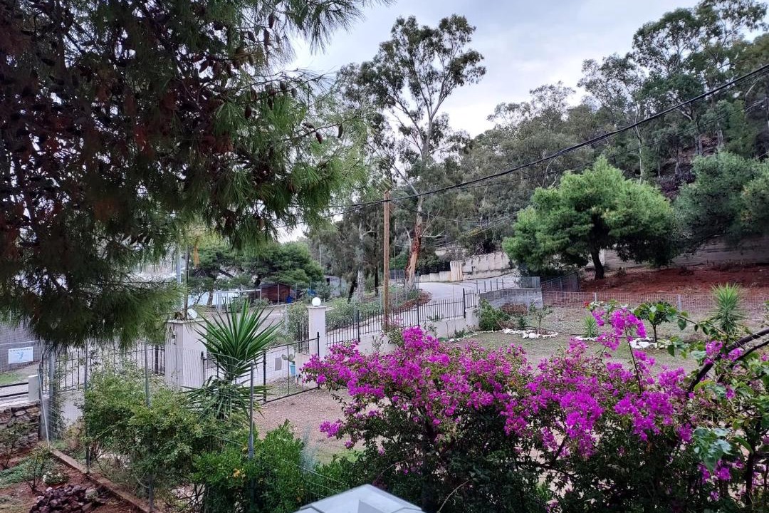 Photo of Others in Loutraki-Agioi Theodoroi