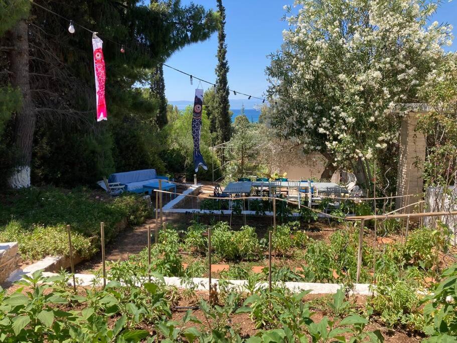Photo of Outdoor in Kilada