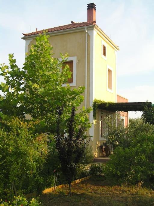 Photo of Buildings in Papadhianika