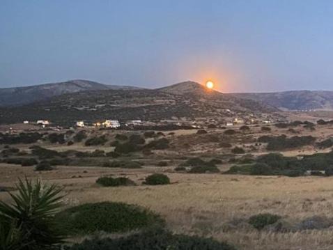 Photo of Others in Naxos