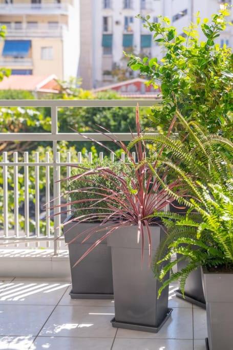 Photo of Patio Balcony in Ilisia