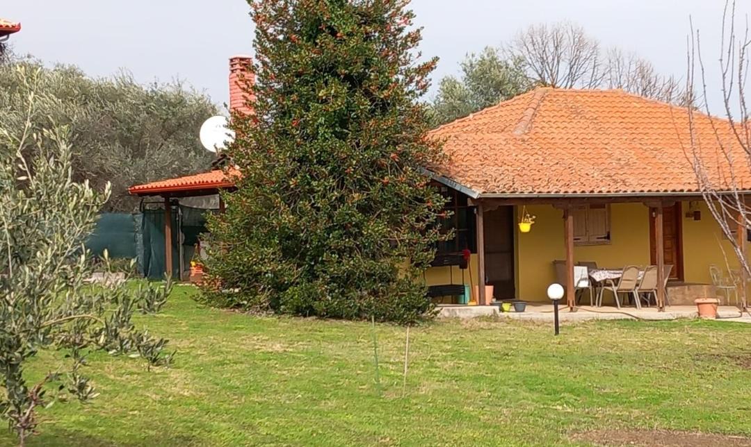 Photo of Others in Litochoro
