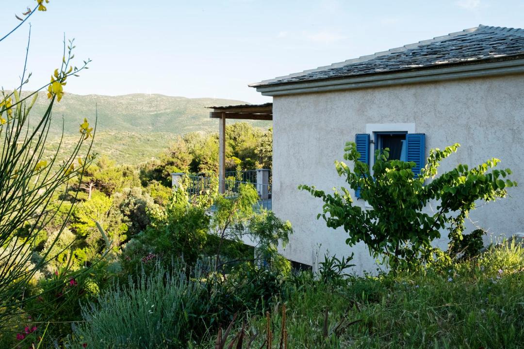 Photo of Buildings in Steni Dirfyos