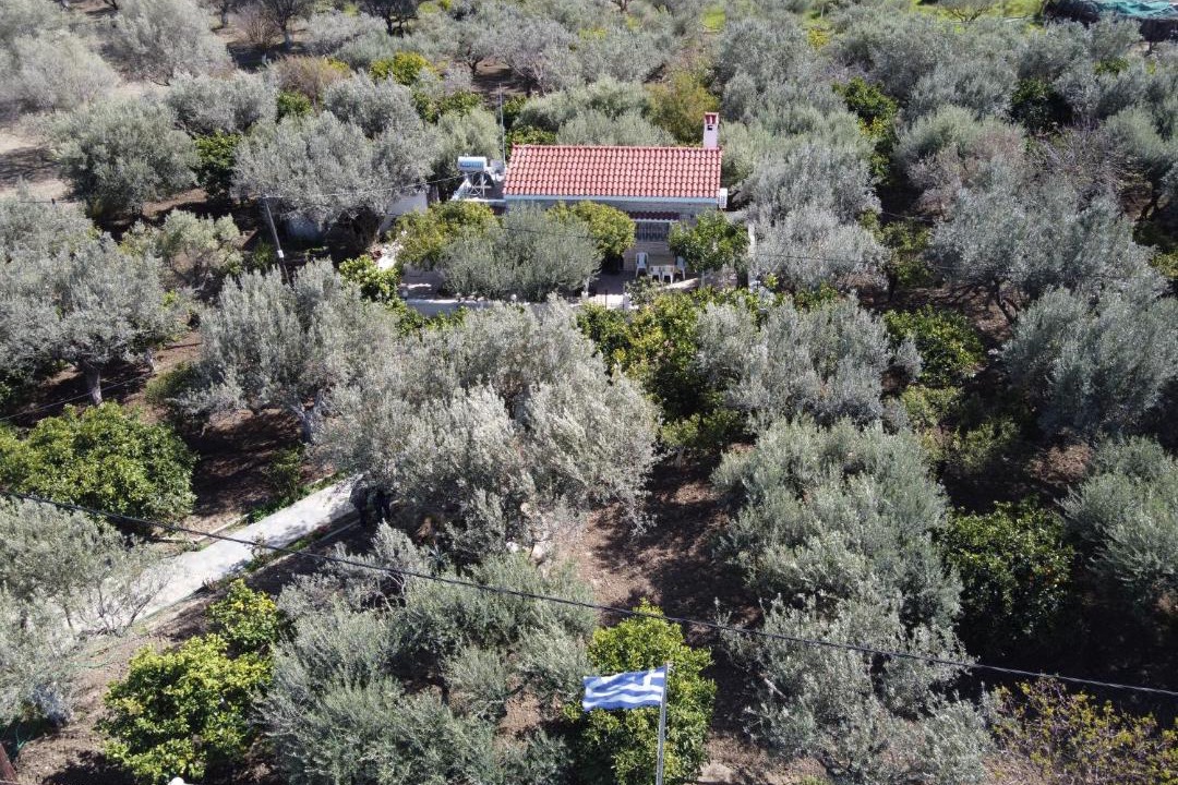 Photo of Outdoor in Kolymbia
