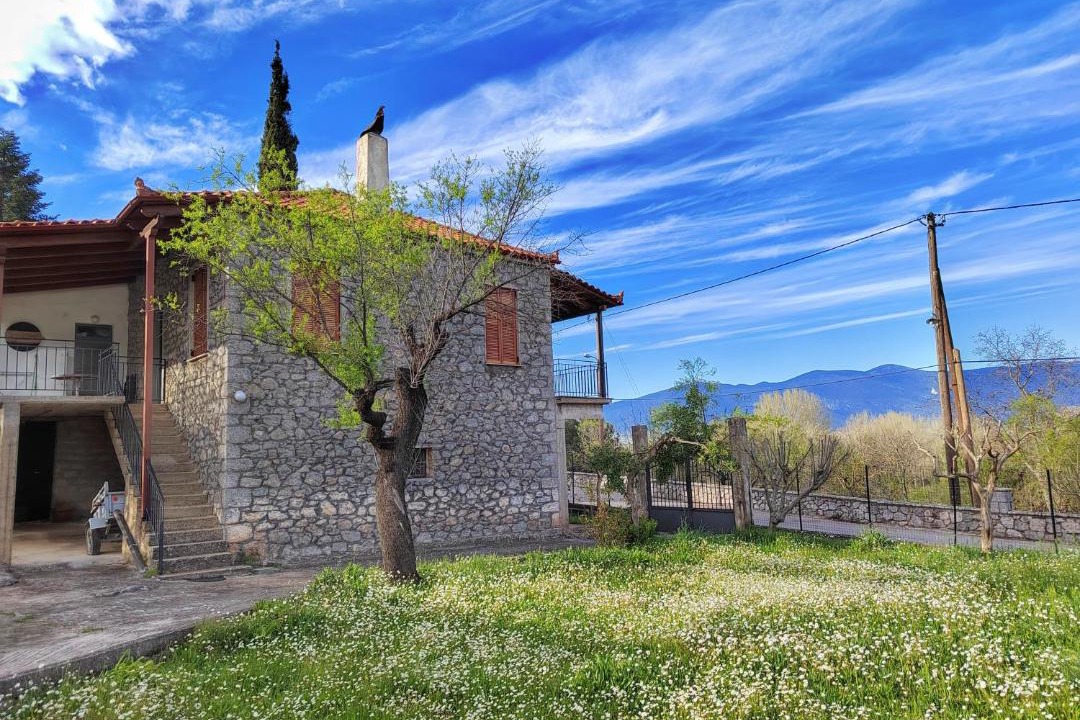 Photo of Others in Lilaia