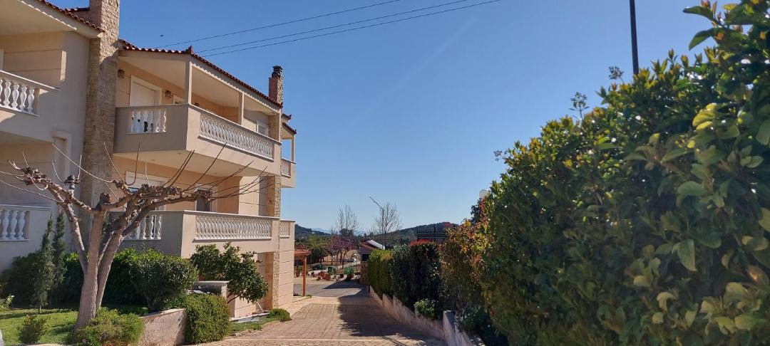 Photo of Buildings in Markopoulo Mesogaias