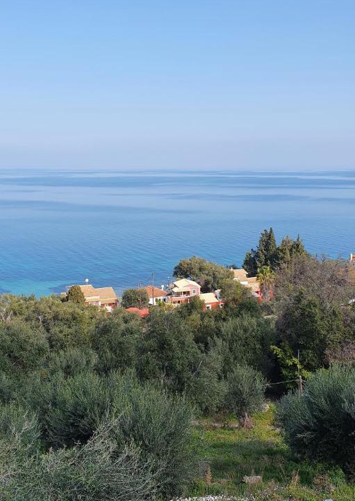 Photo of Others in Agia Pelagia Chlomou