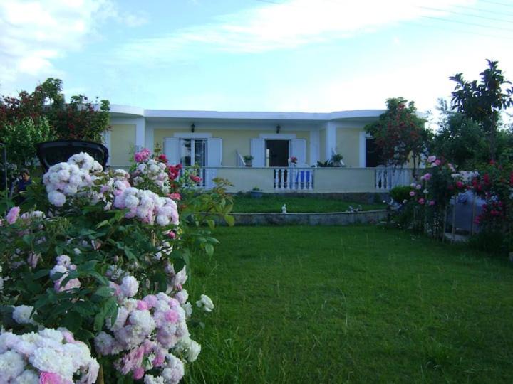 Photo of Others in Drosia