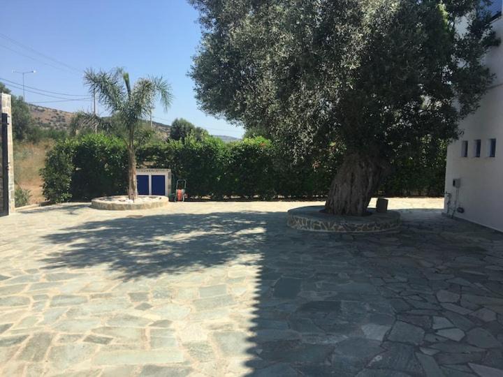 Photo of Outdoor in Schinias