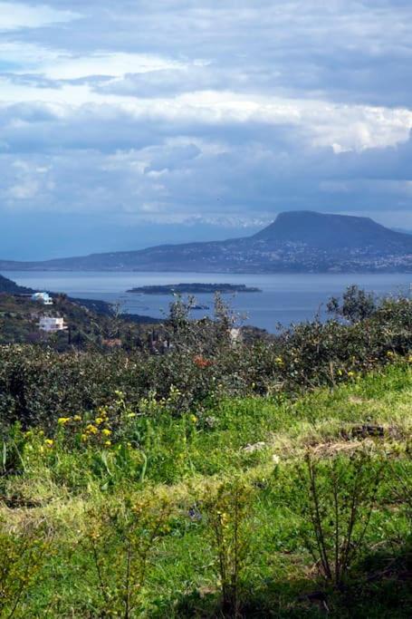 Photo of Outdoor in Pitharion