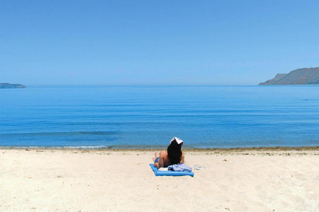 Photo of Others in Nopigia