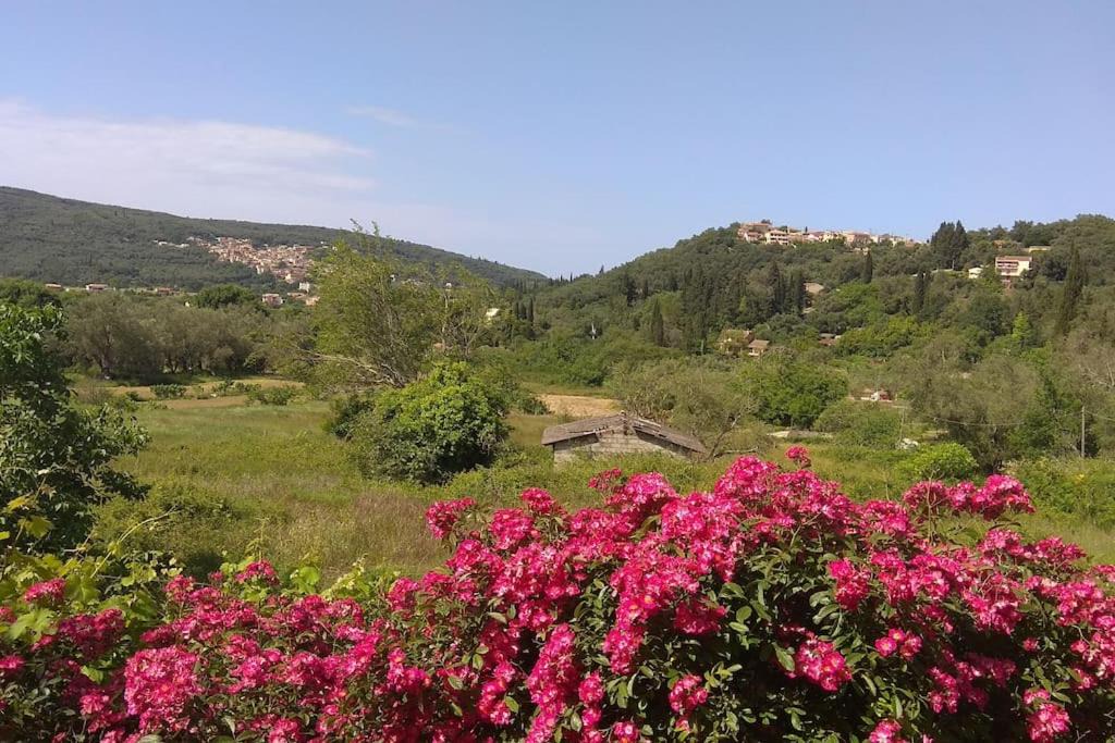 Photo of Outdoor in Doukades