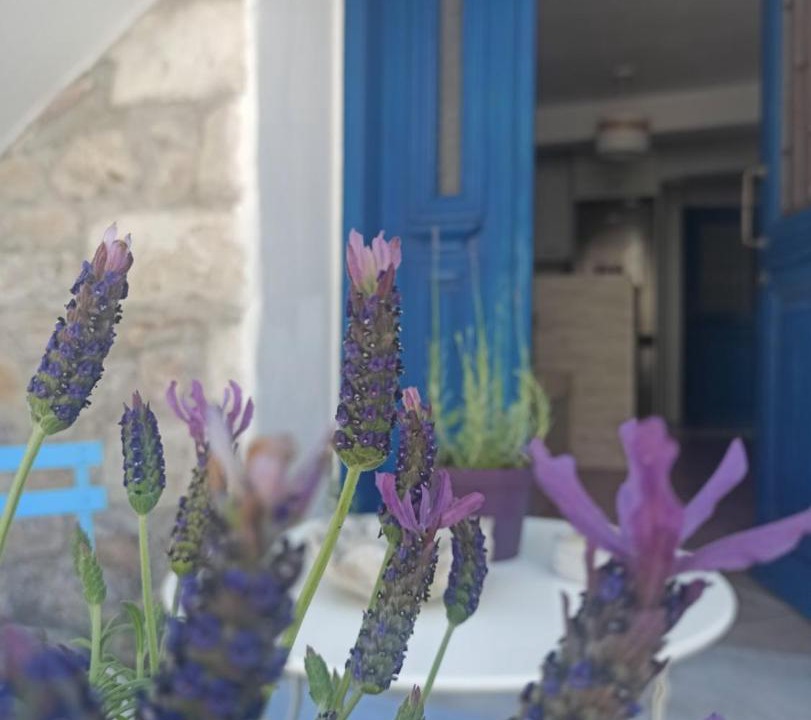 Photo of Others in Paliouri