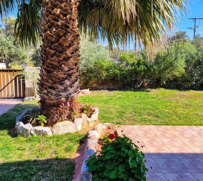 Photo of Others in Triopetra