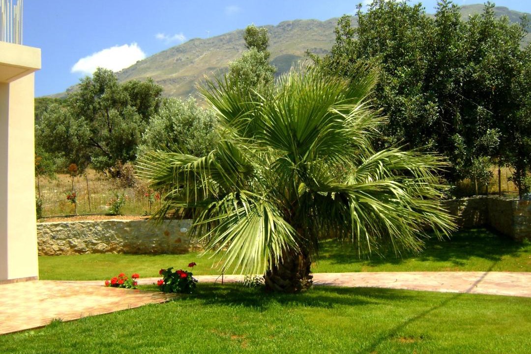 Photo of Others in Triopetra