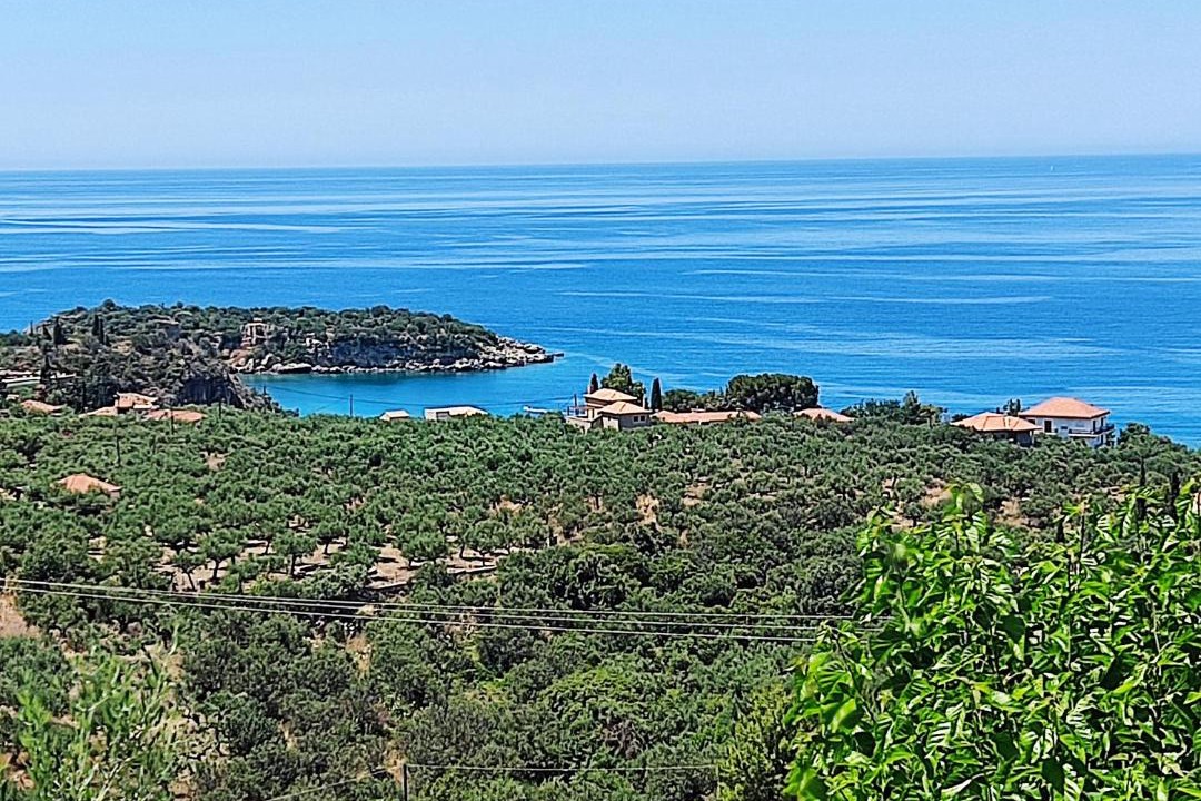 Photo of Others in Kardamyli