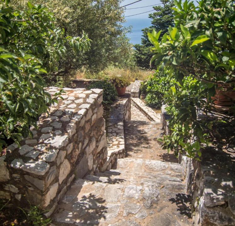 Photo of Others in Lefktron