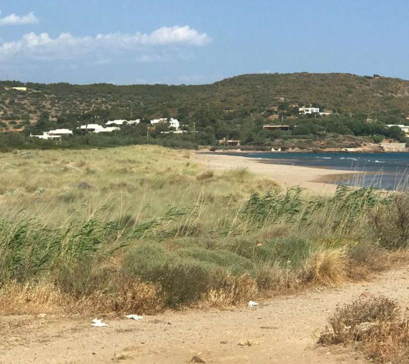 Photo of Others in Lavreotiki