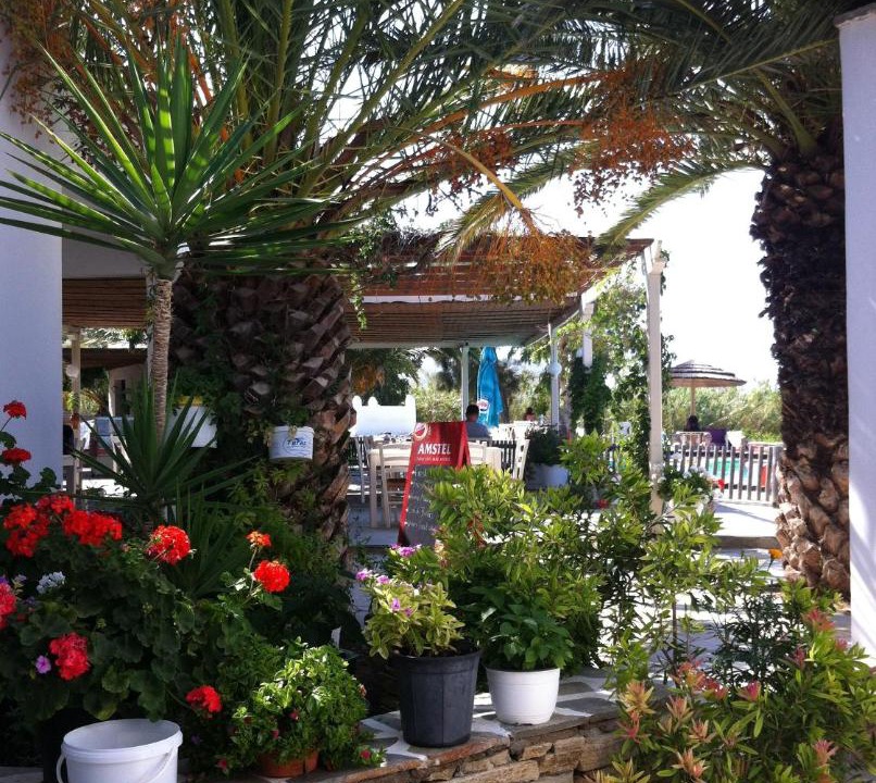 Photo of Others in Plaka